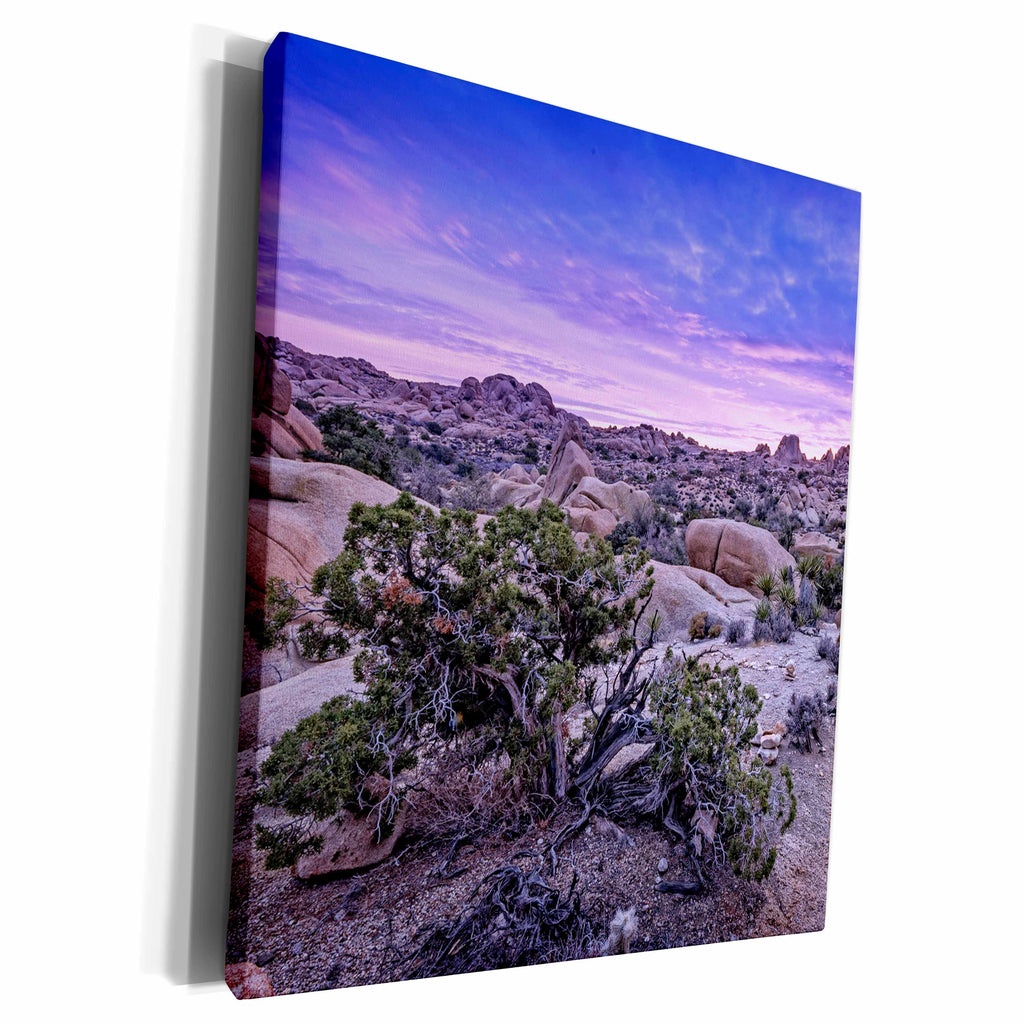 3dRose Boehm Photography Landscape - Jumbo Rocks Sunset - Museum Grade Canvas Wrap (cw_203940)