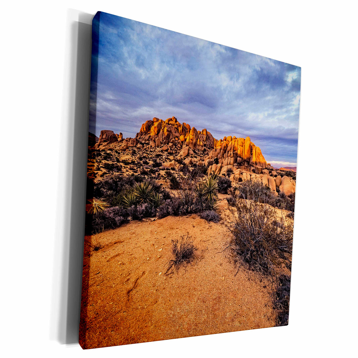 3dRose Sunset Edge at Joshua Tree - Museum Grade Canvas Wrap (cw_203952)