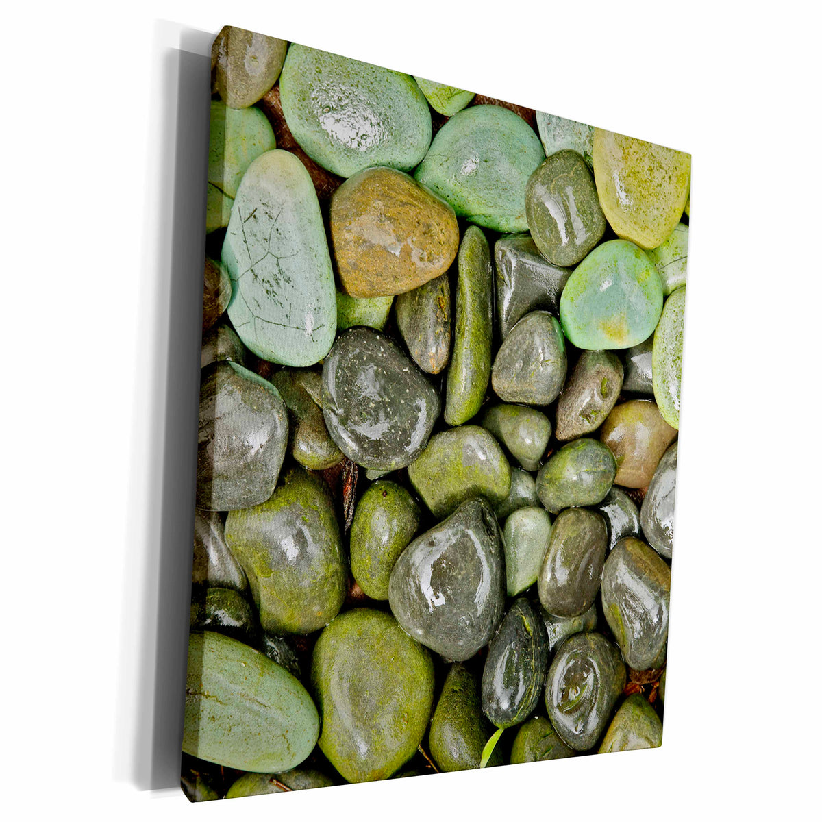3dRose Decorative landscaping rocks, Florida, USA. - Museum Grade Canvas Wrap (cw_205258)