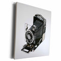 3dRose Picture of a Classical Vintage Camera with bellow - Museum Grade Canvas Wrap (cw_20722)