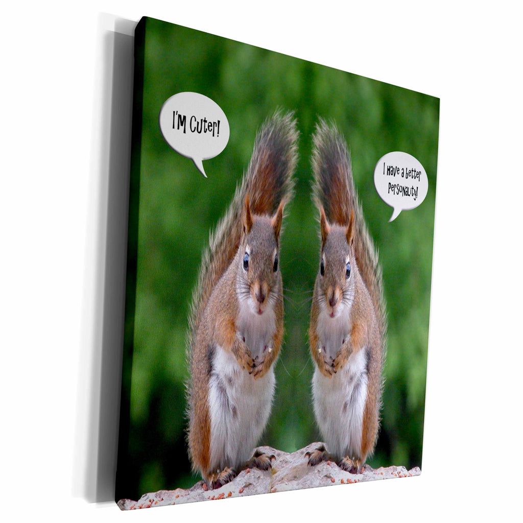 3dRose Red Squirrel Humor - Museum Grade Canvas Wrap (cw_20799)