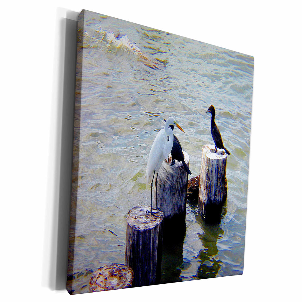 3dRose White Heron with Cormorants - Museum Grade Canvas Wrap (cw_20874)