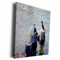 3dRose White Heron with Cormorants - Museum Grade Canvas Wrap (cw_20874)