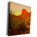 3dRose USA. Texas, Guadalupe Mountain NP. El Capitan... - Museum Grade Canvas Wrap (cw_208818)