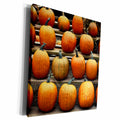 3dRose Connecticut, Conventry, Fall pumpkins. - Museum Grade Canvas Wrap (cw_208845)