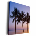 3dRose USA, Hawaii, Molokai. palm tree, morning. - Museum Grade Canvas Wrap (cw_209216)
