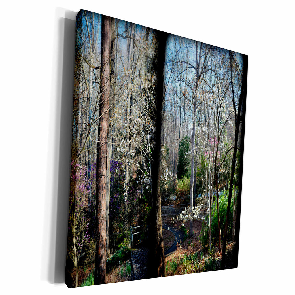 3dRose Panel of Flowering Tree are a couple different photo... - Museum Grade Canvas Wrap (cw_212060)