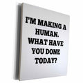 3dRose Im making a human, what have you done today - Museum Grade Canvas Wrap (cw_212183)