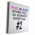3dRose Pink or Blue, either will do, mommys expecting number... - Museum Grade Canvas Wrap (cw_212187)
