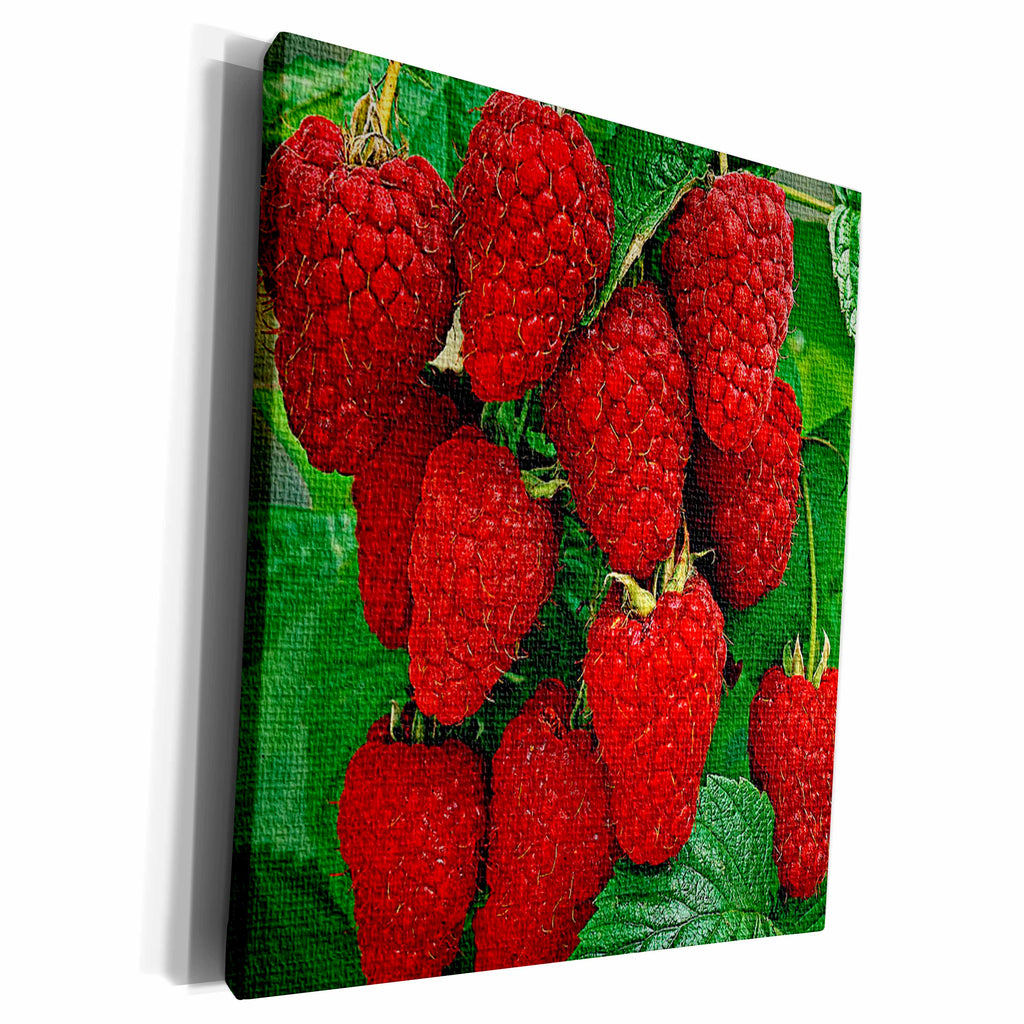 3dRose RinaPiro - Berries - Raspberry decoration - Museum Grade Canvas Wrap (cw_212721)