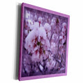 3dRose Ice on Cherry blossoms - Museum Grade Canvas Wrap (cw_21273)