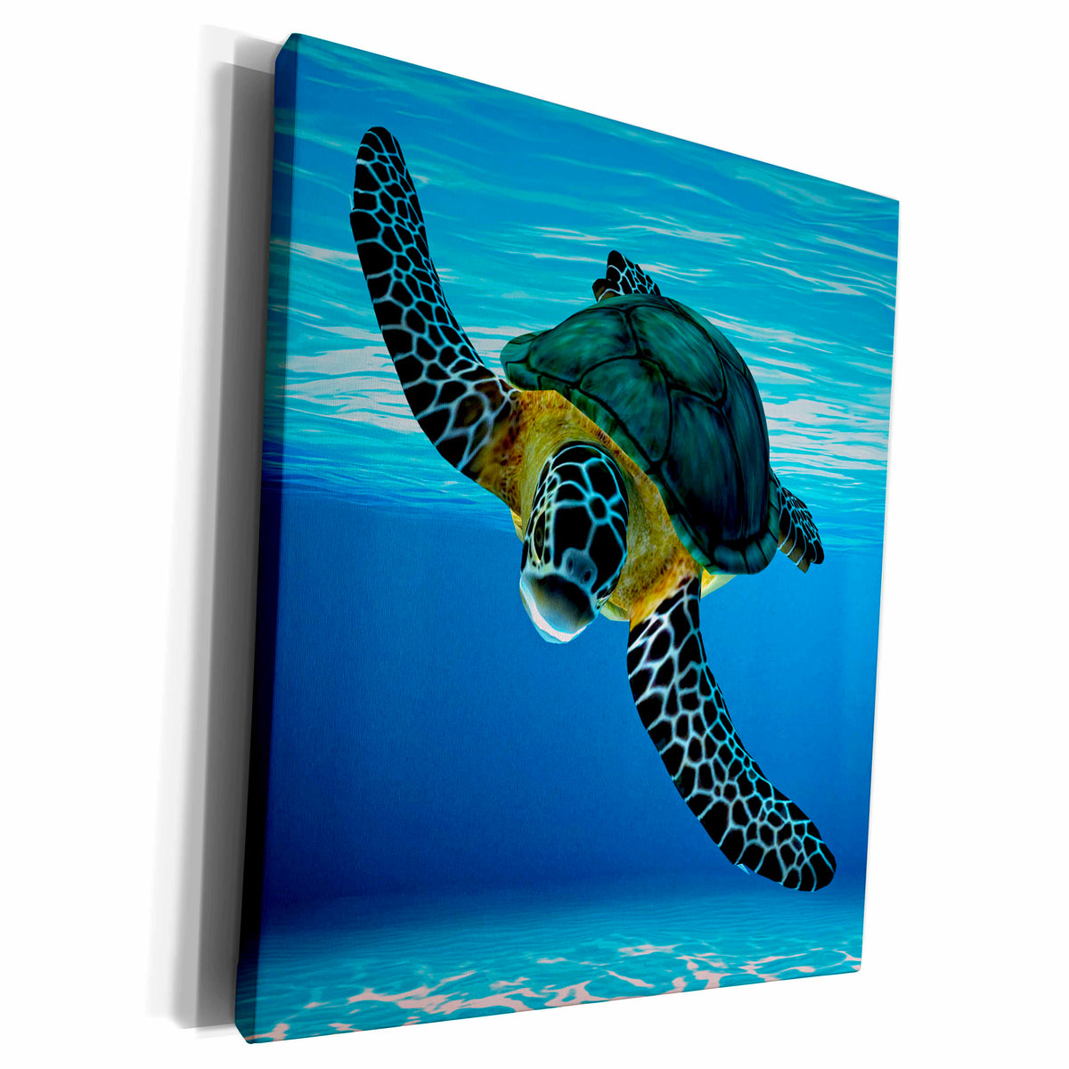 3dRose Boehm Graphics Animal - Sea Turtle Diving - Museum Grade Canvas Wrap (cw_212925)