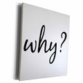 3dRose Why, Black Lettering With A Question Mark On A White... - Museum Grade Canvas Wrap (cw_213323)