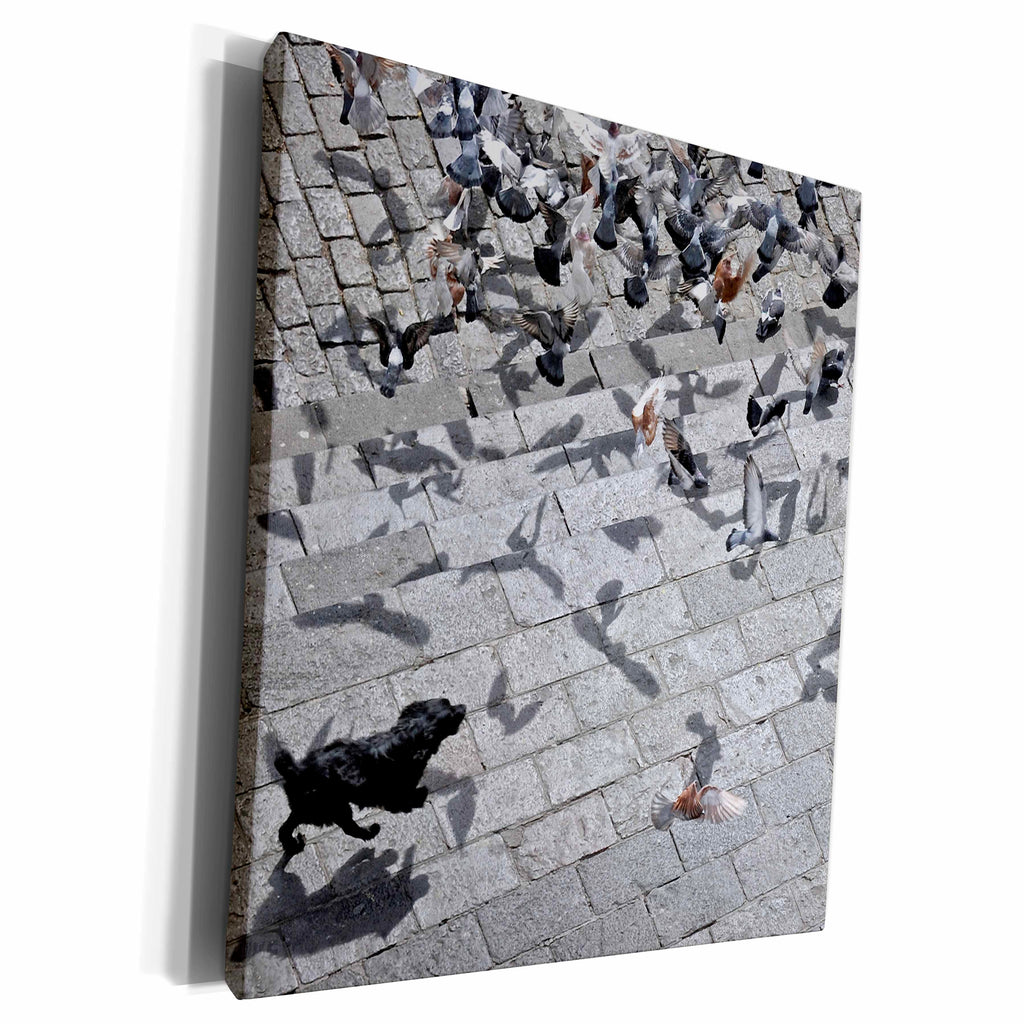 3dRose Dog chasing the pigeons - Museum Grade Canvas Wrap (cw_216086)