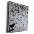 3dRose Dog chasing the pigeons - Museum Grade Canvas Wrap (cw_216086)