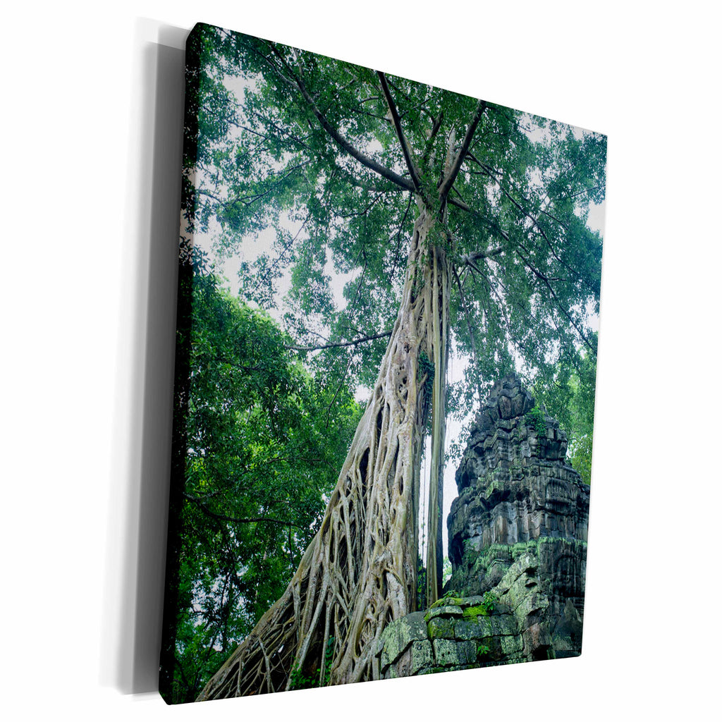 3dRose Tree roats at Ta Prohm Temple - Museum Grade Canvas Wrap (cw_216178)