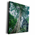 3dRose Tree roats at Ta Prohm Temple - Museum Grade Canvas Wrap (cw_216178)