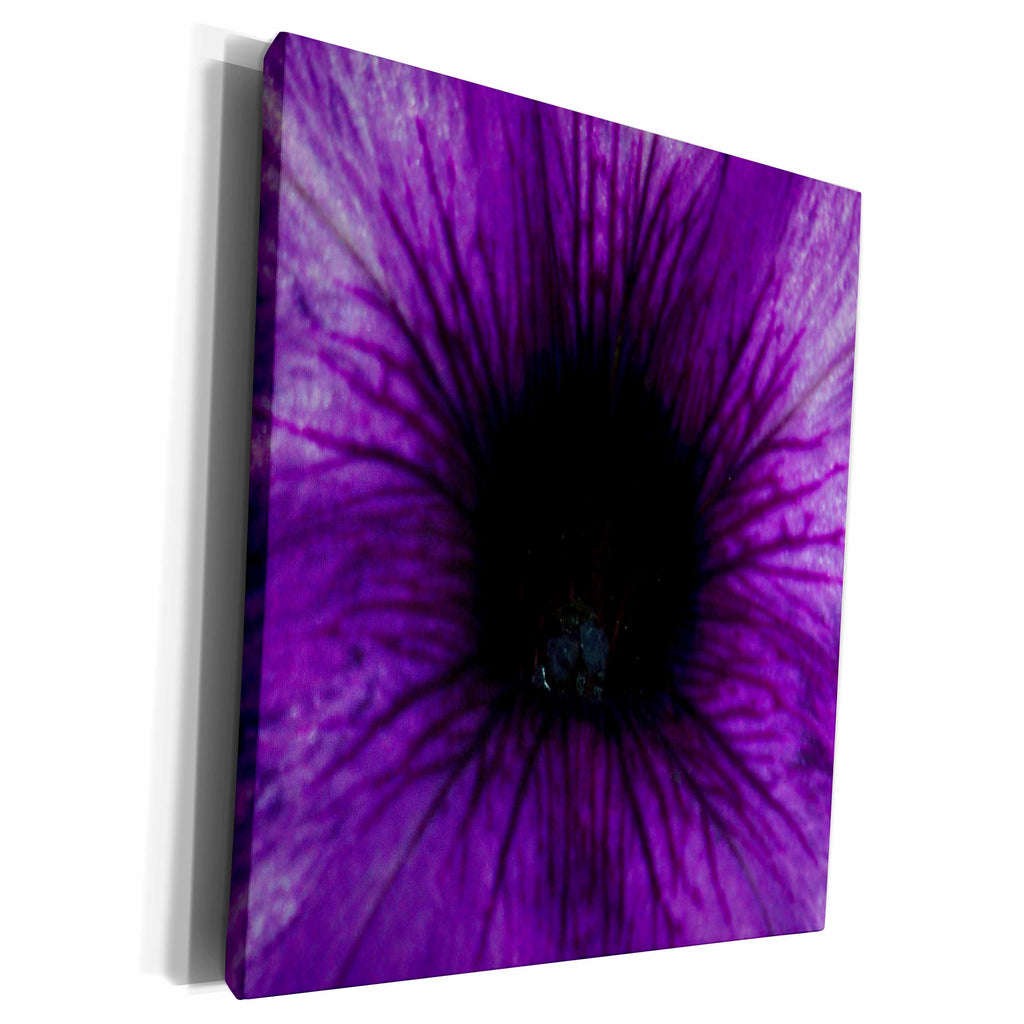 3dRose Purple Petunia - Museum Grade Canvas Wrap (cw_21625)