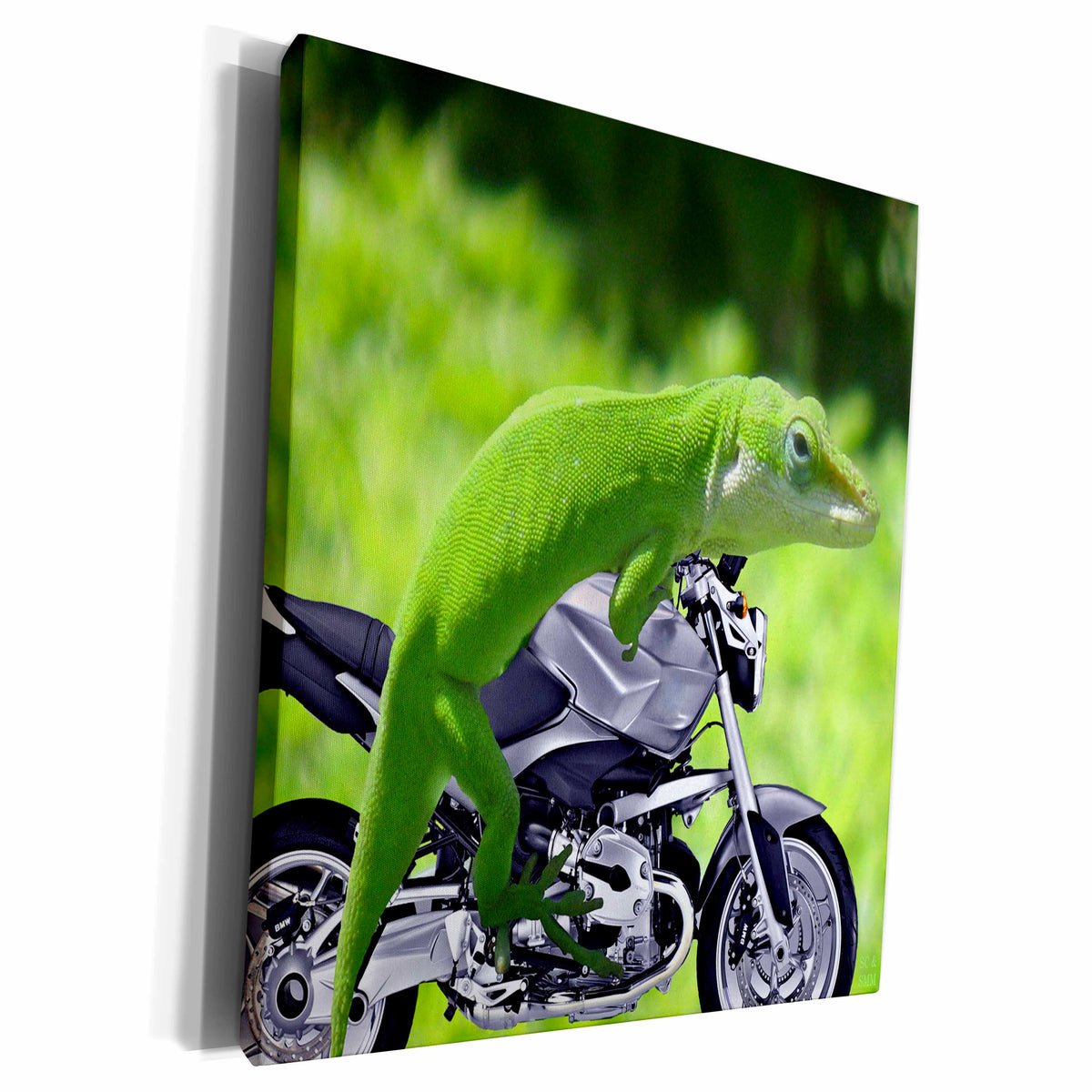 3dRose Sandy Mertens Animals - Gecko Rider - Museum Grade Canvas Wrap (cw_21653)