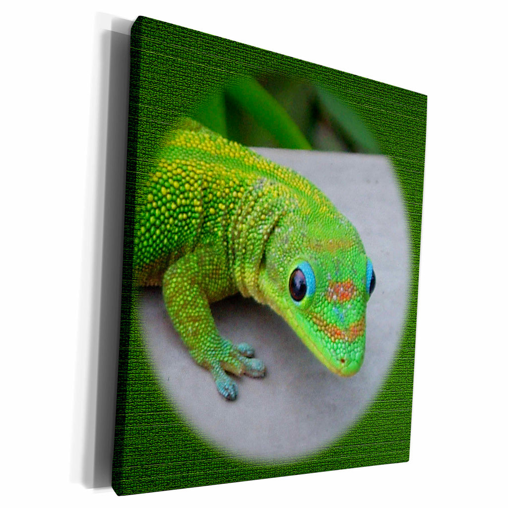 3dRose Sandy Mertens Animals - Gecko Cameo - Museum Grade Canvas Wrap (cw_21654)
