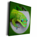 3dRose Sandy Mertens Animals - Gecko Cameo - Museum Grade Canvas Wrap (cw_21654)