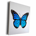 3dRose Blue Monarch Butterfly - Museum Grade Canvas Wrap (cw_217269)