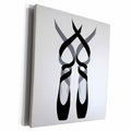 3dRose Cute ballet pointe shoes - Museum Grade Canvas Wrap (cw_219662)