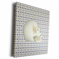 3dRose Skull on Pattern of Skulls and Diamond Design, Gray,... - Museum Grade Canvas Wrap (cw_220578)