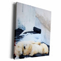 3dRose Polar white bears. Bear family. Canada. Alaska - Museum Grade Canvas Wrap (cw_220712)