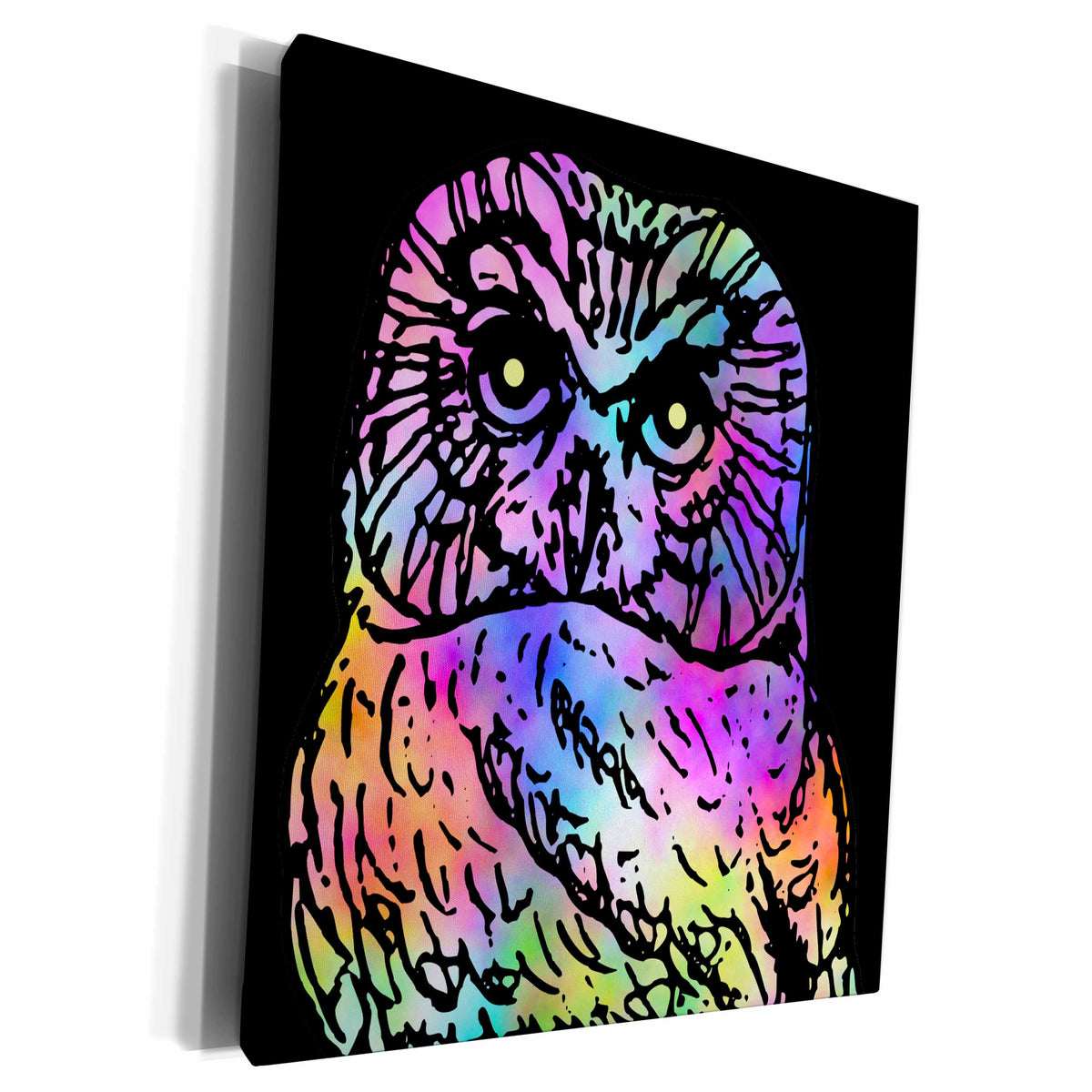 3dRose Rainbow Pattern Owl Portrait over Black Background - Museum Grade Canvas Wrap (cw_220870)