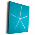 3dRose Pretty White Starfish on Teal Background - Museum Grade Canvas Wrap (cw_220908)