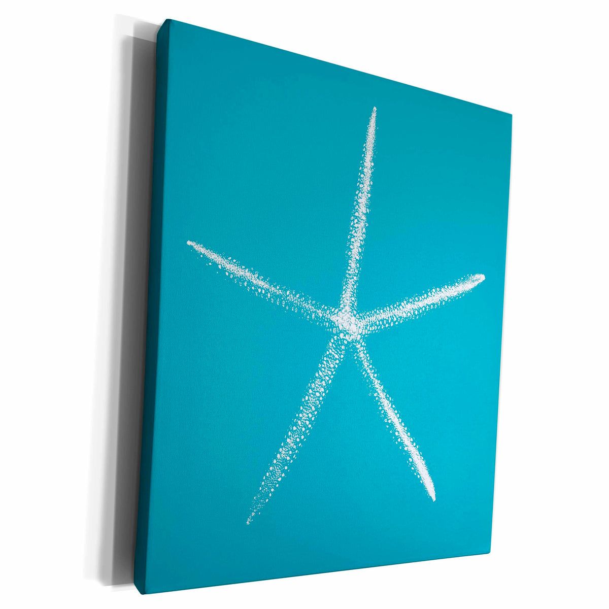 3dRose Pretty White Starfish on Teal Background - Museum Grade Canvas Wrap (cw_220908)