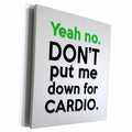 3dRose YEAH NO. DONT PUT ME DOWN FOR CARDIO. - Museum Grade Canvas Wrap (cw_221122)