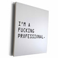 3dRose IM A FUCKING PROFESSIONAL. - Museum Grade Canvas Wrap (cw_221162)