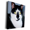 3dRose Florene Cat - Funny Face - Museum Grade Canvas Wrap (cw_22168)