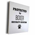 3dRose BrooklynMeme Pets - Protected by boxer security system - Museum Grade Canvas Wrap (cw_221800)