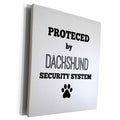 3dRose Protected by dachshund security system - Museum Grade Canvas Wrap (cw_221803)