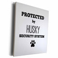 3dRose BrooklynMeme Pets - Protected by husky security system - Museum Grade Canvas Wrap (cw_221806)