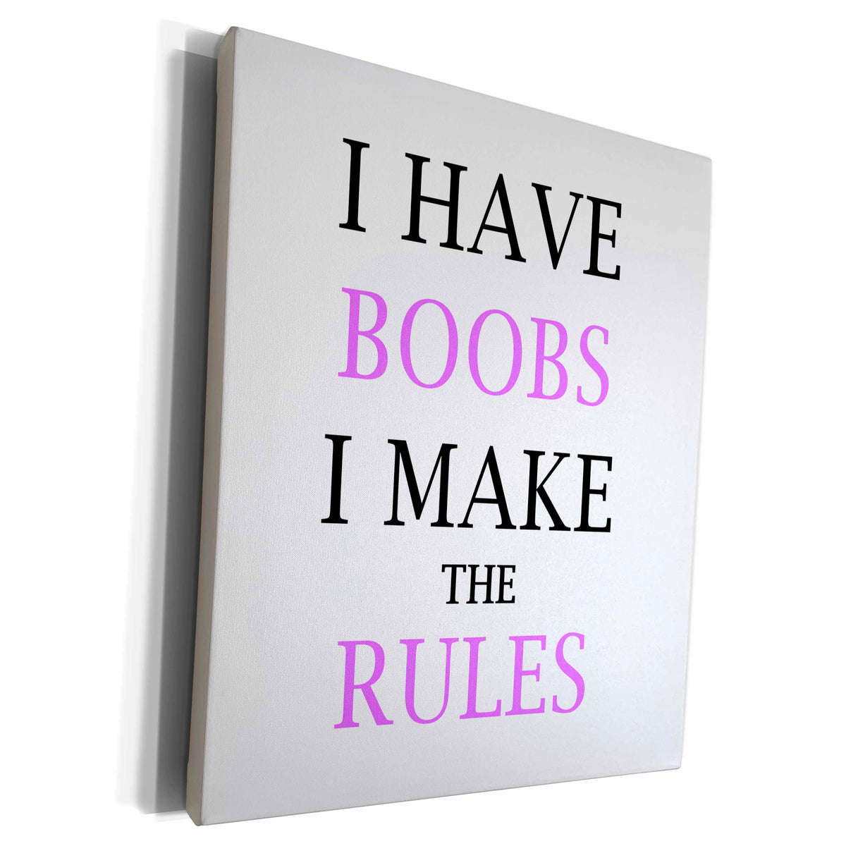 3dRose I HAVE BOOBS I MAKE THE RULES - Museum Grade Canvas Wrap (cw_222205)