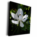 3dRose southern magnolia - Museum Grade Canvas Wrap (cw_22225)