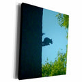 3dRose Squirrel Sitting On Tree Branch In Silhouette - Museum Grade Canvas Wrap (cw_22258)