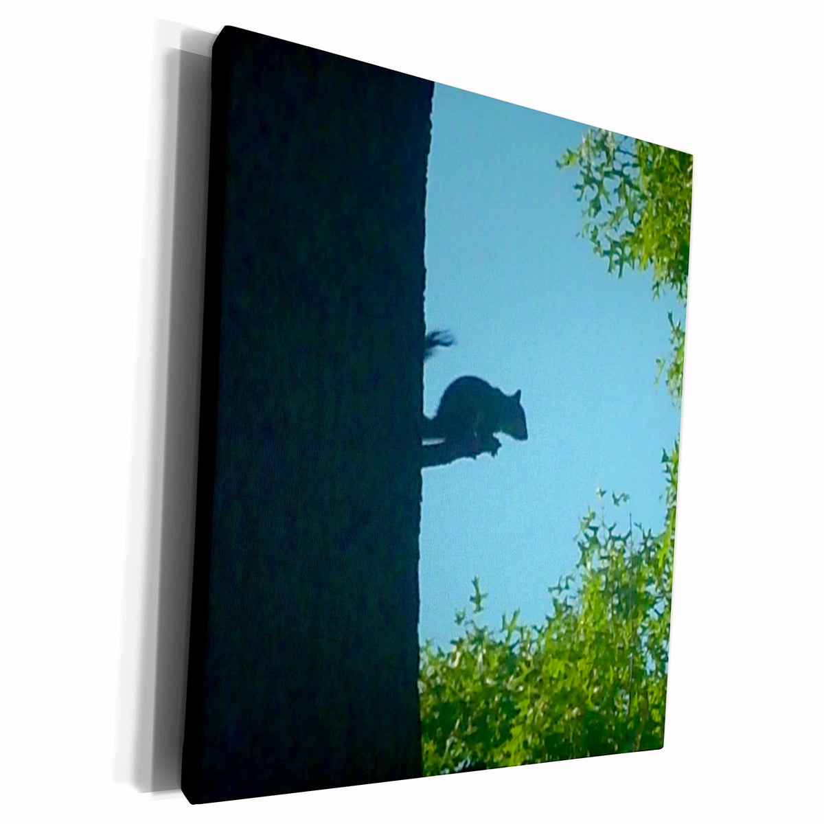 3dRose Squirrel Sitting On Tree Branch In Silhouette - Museum Grade Canvas Wrap (cw_22258)