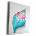 3dRose Pink, Orange, Light Blue Sea Shell Illustration - Museum Grade Canvas Wrap (cw_222673)