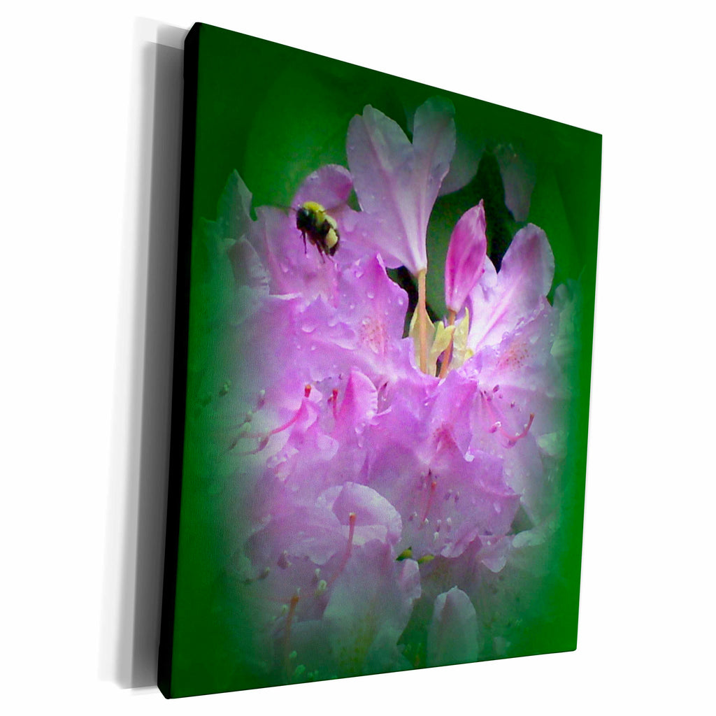 3dRose Beautiful Rhododendron With Bumble Bee - Museum Grade Canvas Wrap (cw_22272)