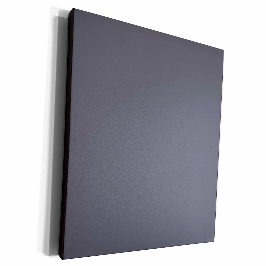 3dRose Image of Solid Rainy Day Gray Color - Museum Grade Canvas Wrap (cw_223503)