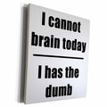 3dRose I Cannot Brain Today I Has The Dumb Black - Museum Grade Canvas Wrap (cw_223685)