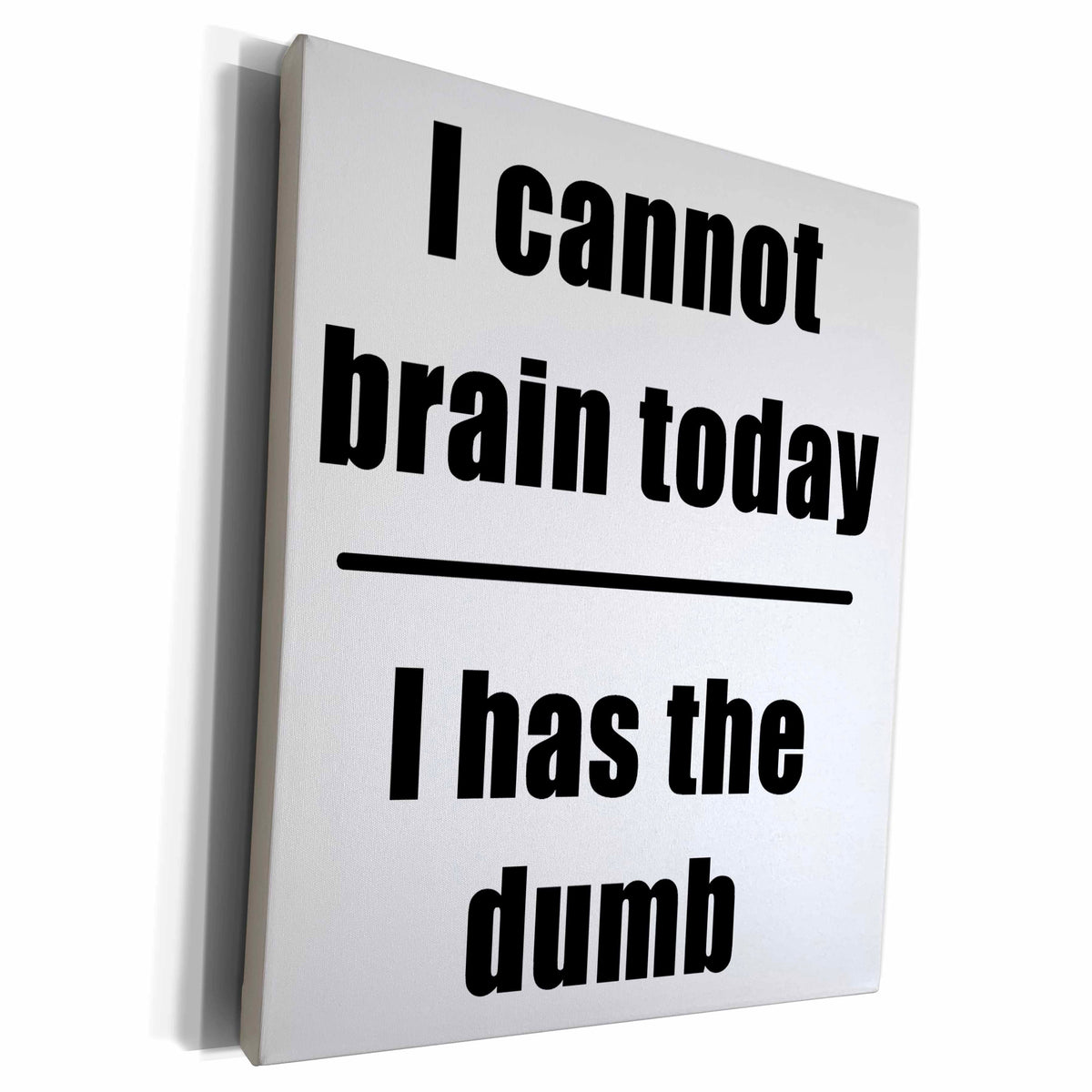 3dRose I Cannot Brain Today I Has The Dumb Black - Museum Grade Canvas Wrap (cw_223685)