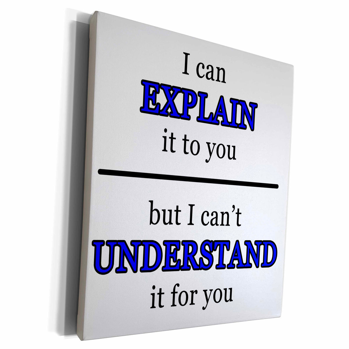 3dRose I Can Explain It To You But I Cant Understand It For... - Museum Grade Canvas Wrap (cw_223761)