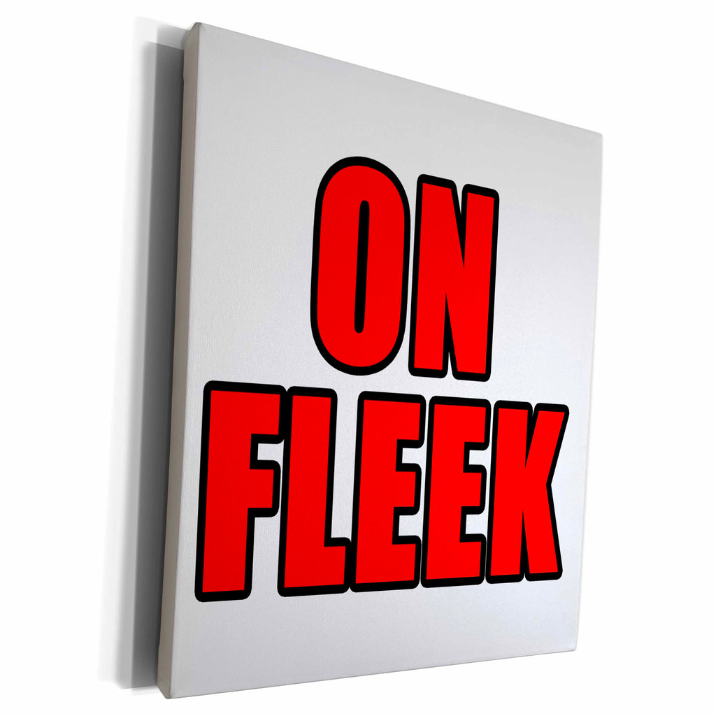 3dRose EvaDane - Quotes - On Fleek Red - Museum Grade Canvas Wrap (cw_223919)