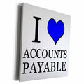 3dRose EvaDane - Quotes - I Love Accounts Payable Blue - Museum Grade Canvas Wrap (cw_224037)